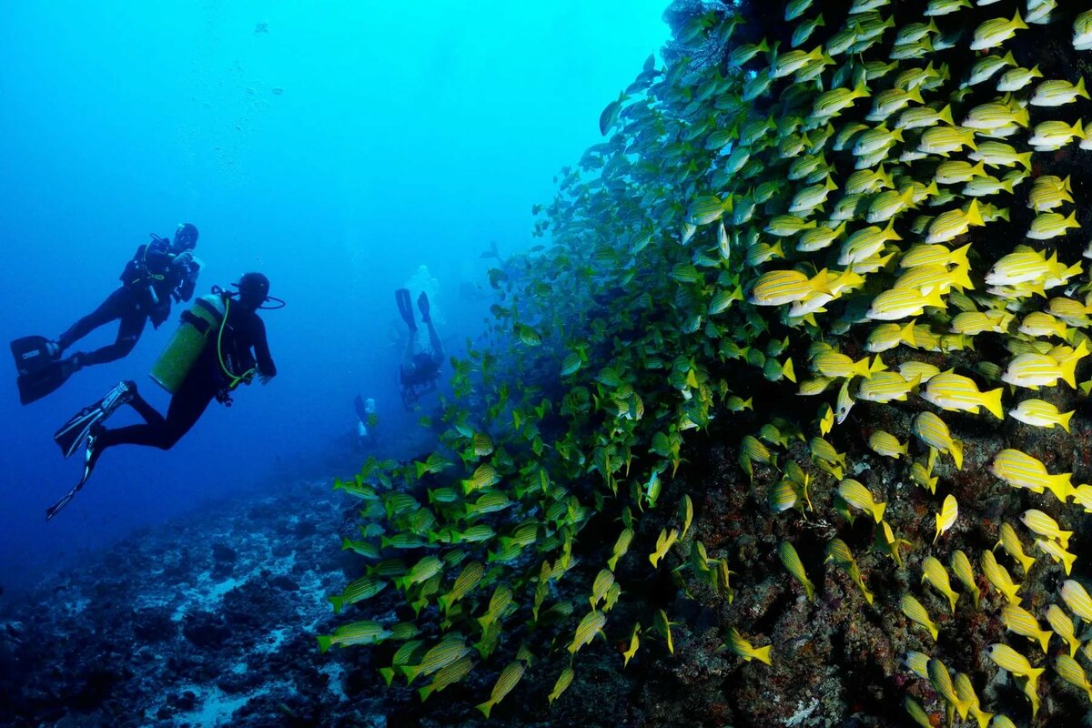 Маска "Reveal X2I" черный силикон